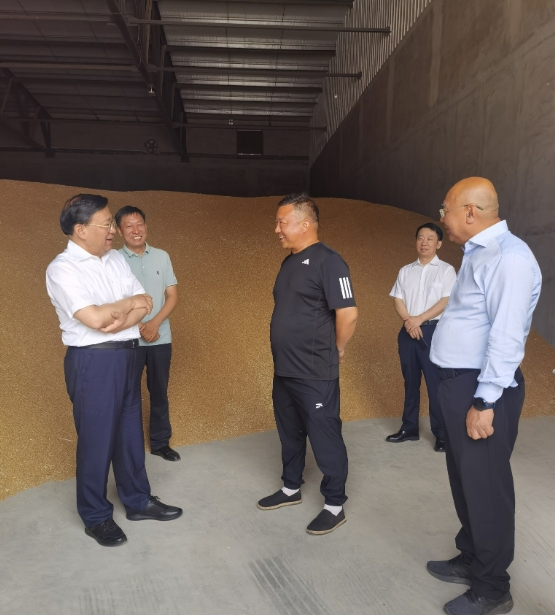 韩俊在河南河北调研时强调 扎实推进粮油作物大面积单产提升行动 全力以赴夯实全年粮食丰收基础2